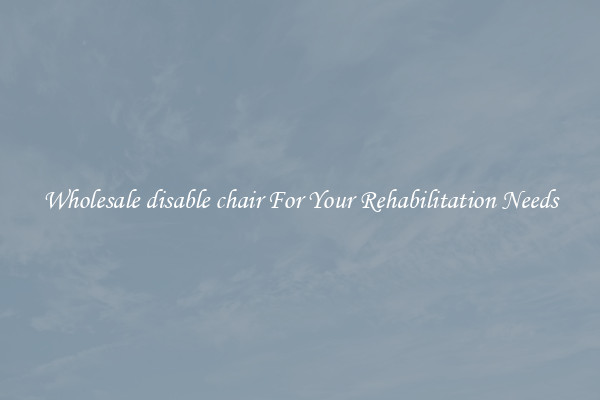 Wholesale disable chair For Your Rehabilitation Needs