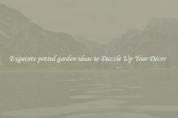 Exquisite potted garden ideas to Dazzle Up Your Décor  