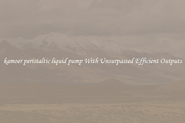 kamoer peristaltic liquid pump With Unsurpassed Efficient Outputs