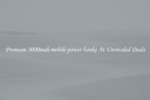 Premium 3000mah mobile power banke At Unrivaled Deals