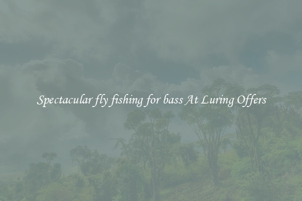 Spectacular fly fishing for bass At Luring Offers