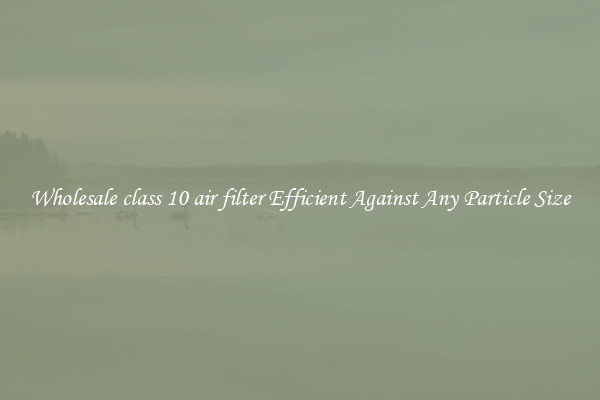 Wholesale class 10 air filter Efficient Against Any Particle Size