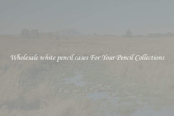 Wholesale white pencil cases For Your Pencil Collections