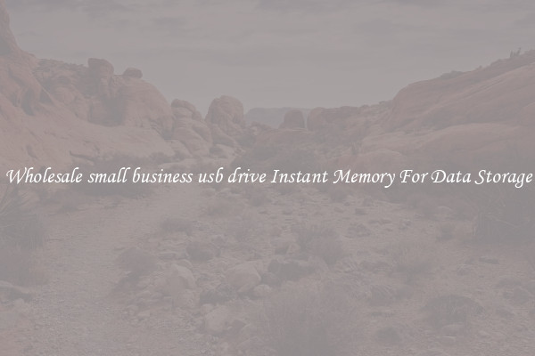 Wholesale small business usb drive Instant Memory For Data Storage
