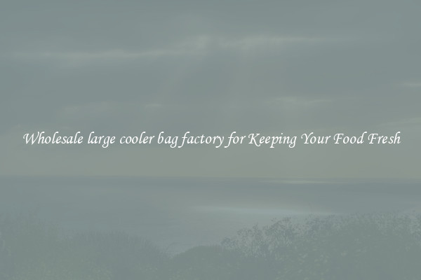 Wholesale large cooler bag factory for Keeping Your Food Fresh