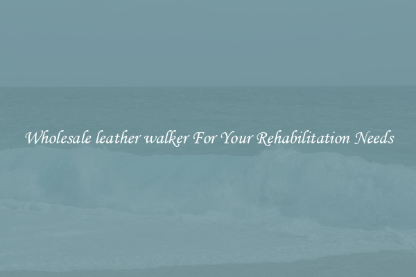 Wholesale leather walker For Your Rehabilitation Needs