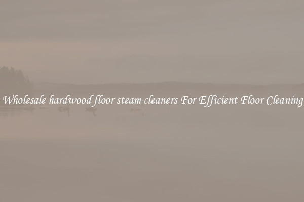 Wholesale hardwood floor steam cleaners For Efficient Floor Cleaning
