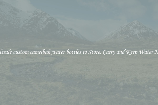 Wholesale custom camelbak water bottles to Store, Carry and Keep Water Handy