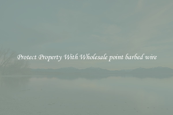 Protect Property With Wholesale point barbed wire