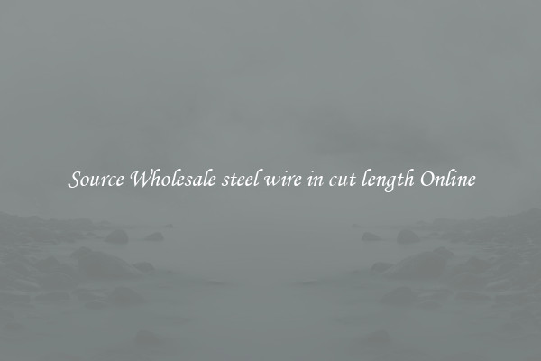 Source Wholesale steel wire in cut length Online