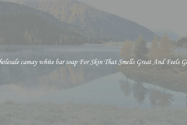 Wholesale camay white bar soap For Skin That Smells Great And Feels Good