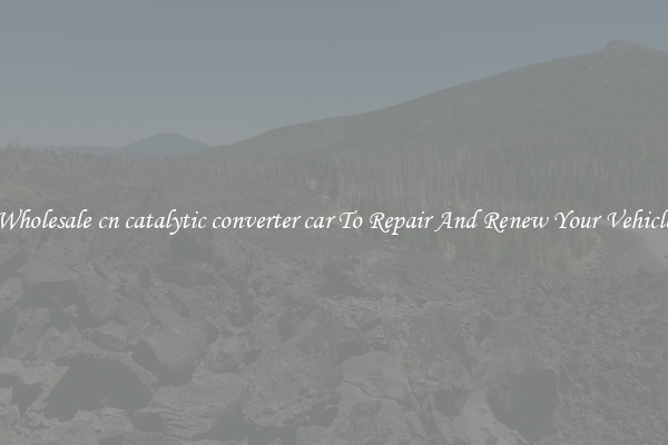 Wholesale cn catalytic converter car To Repair And Renew Your Vehicle