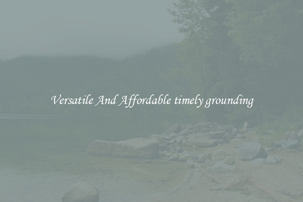 Versatile And Affordable timely grounding