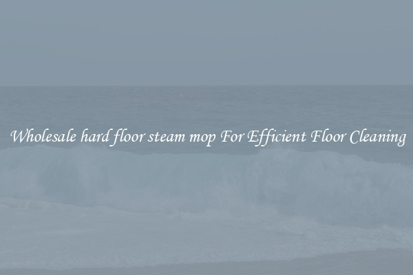 Wholesale hard floor steam mop For Efficient Floor Cleaning