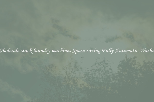 Wholesale stack laundry machines Space-saving Fully Automatic Washer 