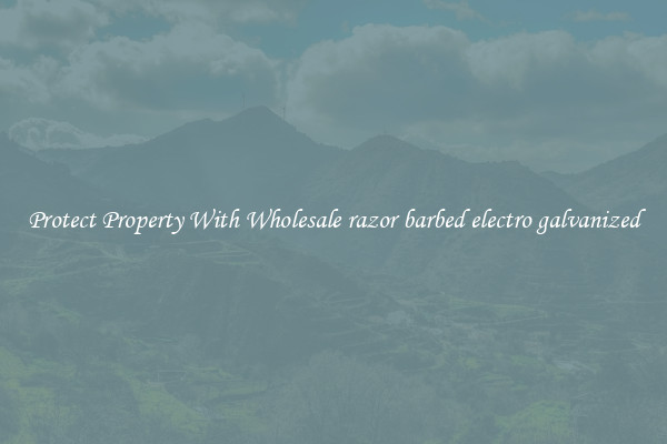 Protect Property With Wholesale razor barbed electro galvanized