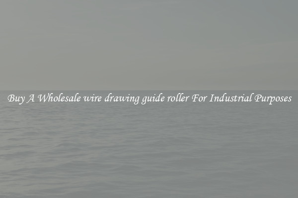 Buy A Wholesale wire drawing guide roller For Industrial Purposes