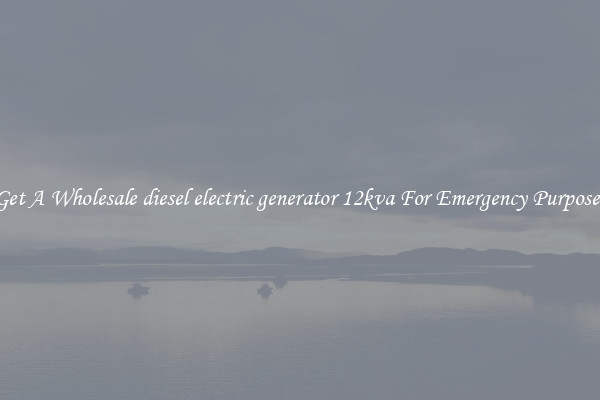 Get A Wholesale diesel electric generator 12kva For Emergency Purposes