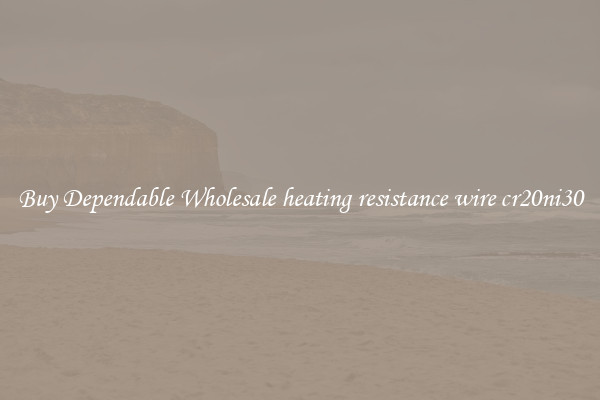 Buy Dependable Wholesale heating resistance wire cr20ni30