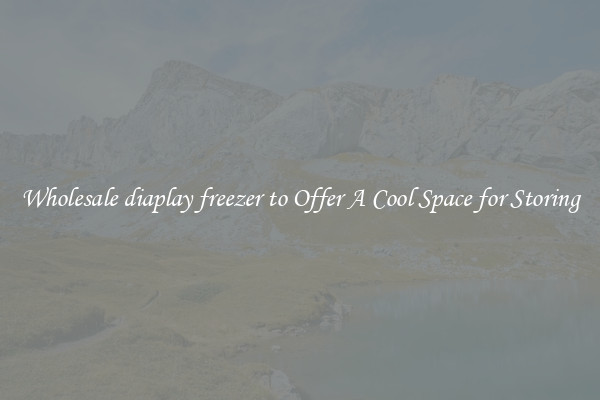 Wholesale diaplay freezer to Offer A Cool Space for Storing