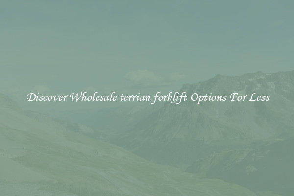 Discover Wholesale terrian forklift Options For Less