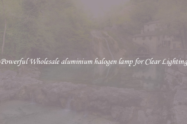 Powerful Wholesale aluminium halogen lamp for Clear Lighting