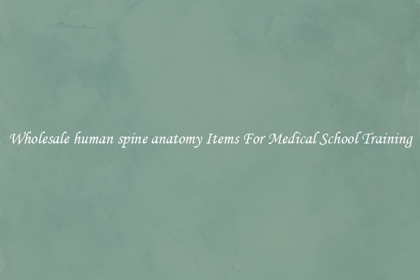 Wholesale human spine anatomy Items For Medical School Training